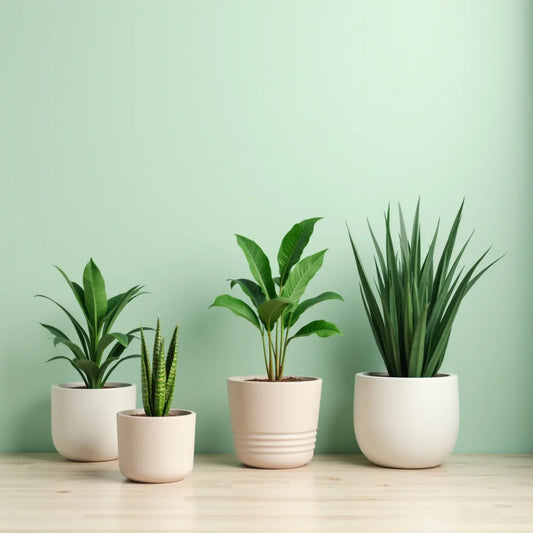 Artificial Potted Plants For Home Decor - Artificial Potted Plants to Refresh Your Home Decor