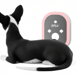 Top 10 Gadget Gifts Pet Owners Will Adore - Shop Joomcy!