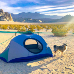 Desert Camping with Pets: Why a 6-Person Tent is Perfect for Your Next Adventure!