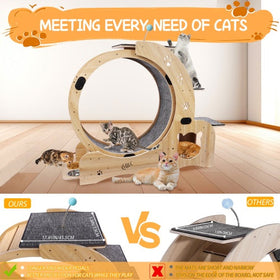 Cat Wheel 6-in-1 Cat Fitness Wheel