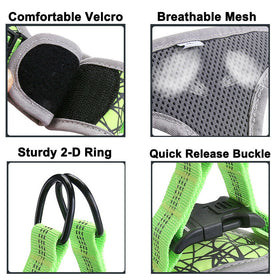 2020 Dog Harness Leash for Small Breeds, Reflective Nylon