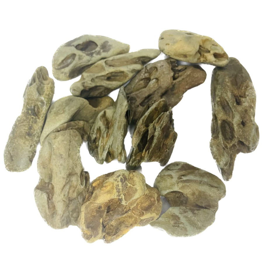ZYYRT Natural Stone Aquarium Rock 2.2lb Dragon Stone Aquarium Aquascaping Rocks Mixed Sizes for Micro Landscape Fish Tank Decor