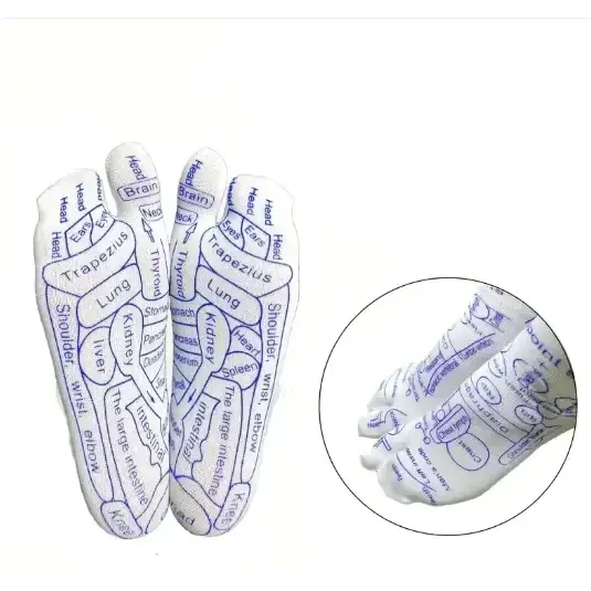 White foot socks with blue printed diagrams of body organs and anatomical terms.