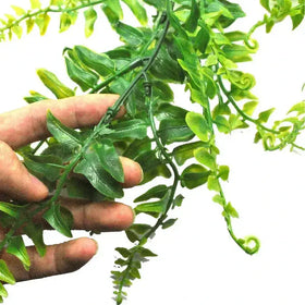Green artificial fern vine with detailed, glossy leaves and slender stems.