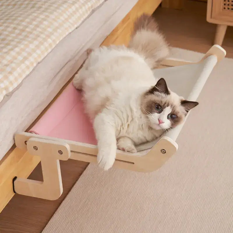 A fluffy cream and brown cat lounges comfortably in a pink hammock-style bed with light wood frame.