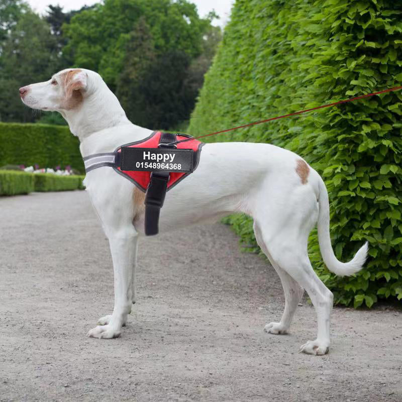 Dog Harness, Pet Chest Strap, Leash