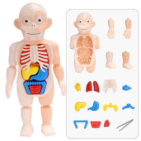 Children's Educational Science Assembly Toy Set
