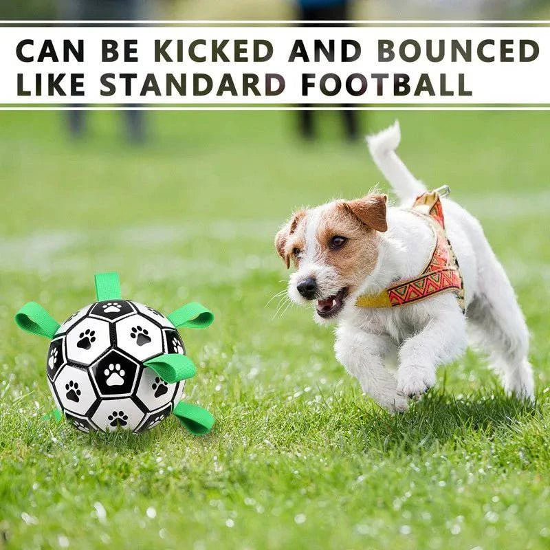 Dog Outdoor Training Football Toy - Joomcy