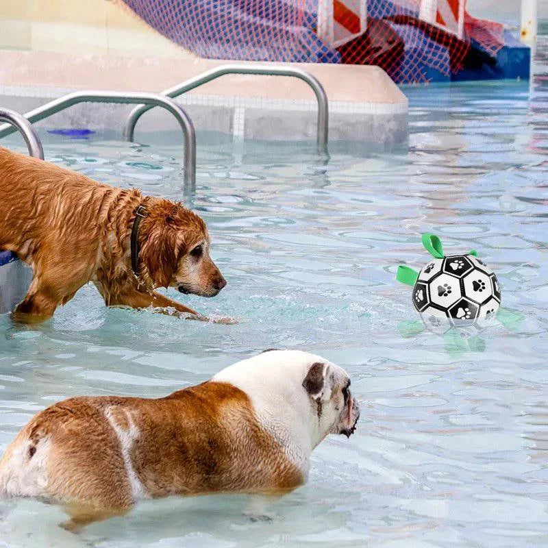 Dog Outdoor Training Football Toy - Joomcy