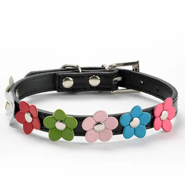 Dog Waterproof Leather Collar - Joomcy