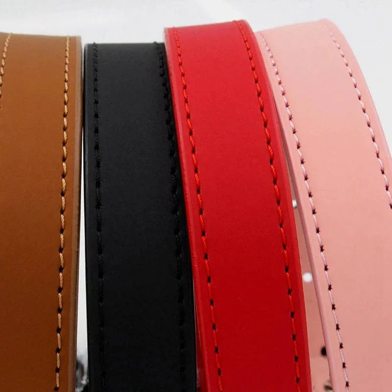 Dog Waterproof Leather Collar - Joomcy