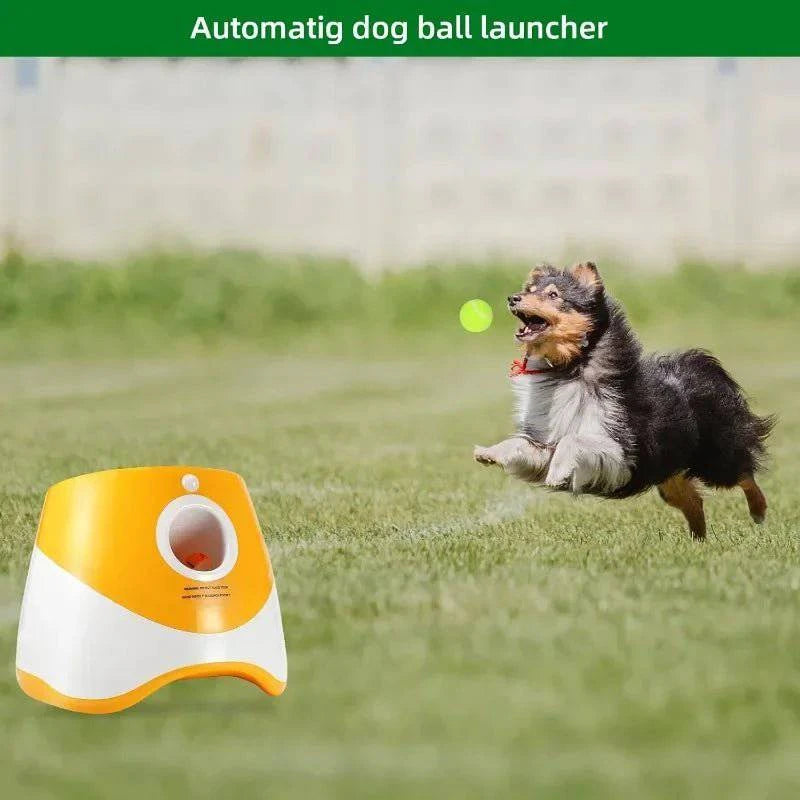 Dogs Automatic Ball Launcher Toy - Joomcy