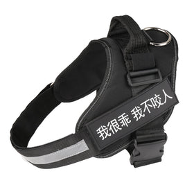 Dog Harness, Pet Chest Strap, Leash
