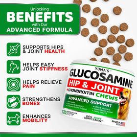 A white and green cylindrical container of yuma’s glucosamine hip & joint chews for dogs, featuring a label with red accents and an image of a golden retriever.