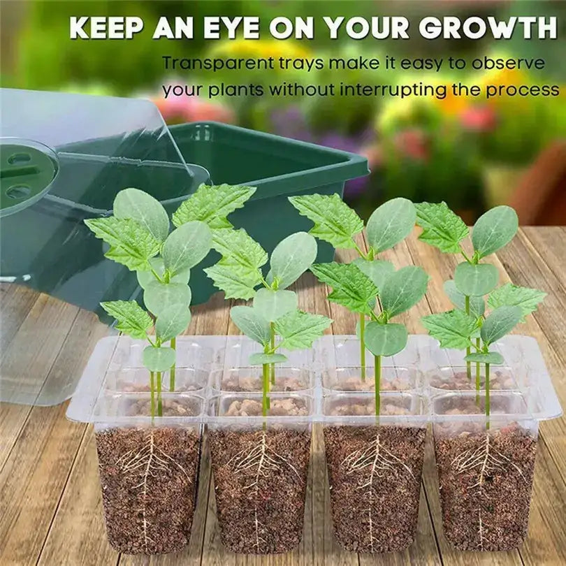 Insulated Seedling Tray