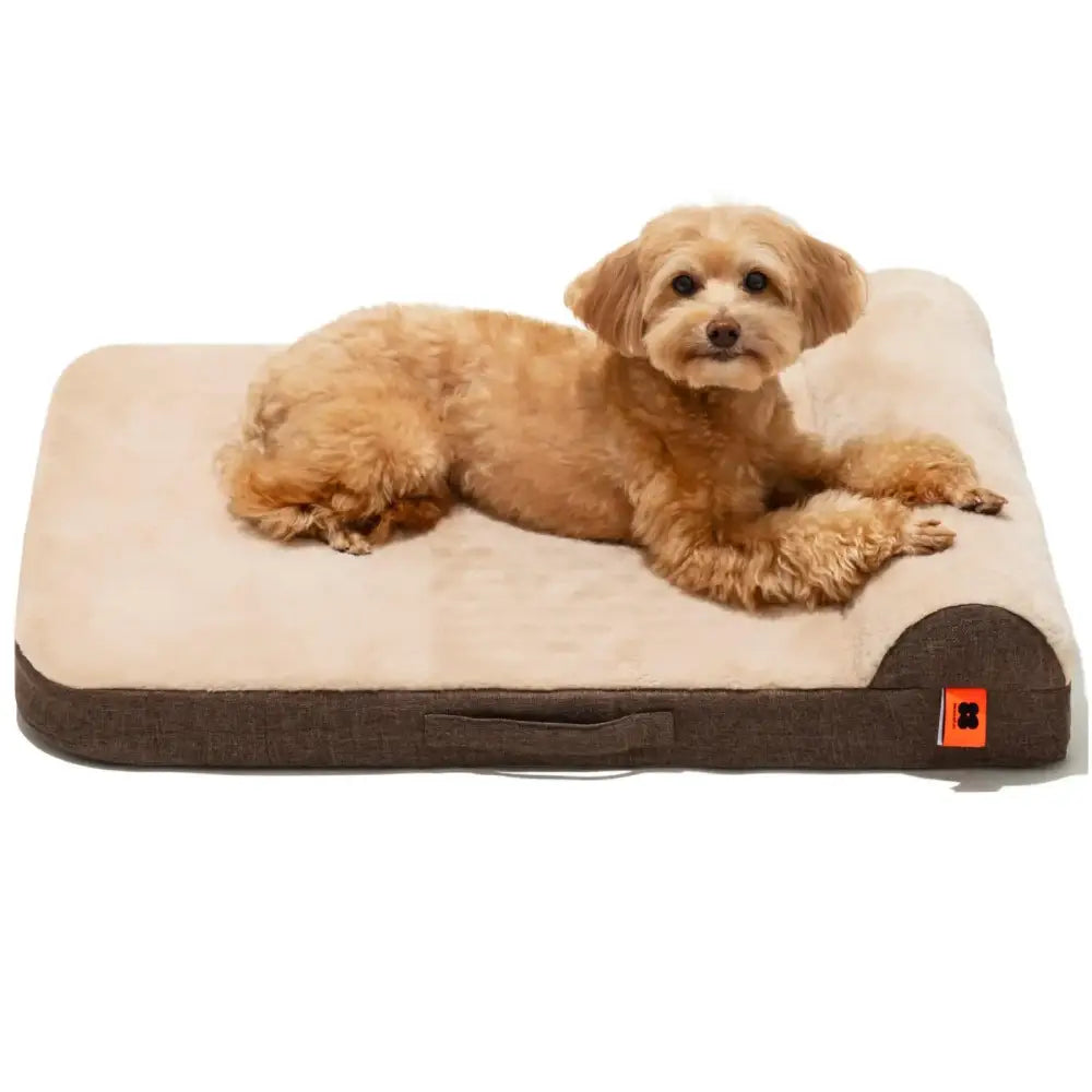 Beige and brown plush dog bed with a soft, cushioned surface and a convenient handle on the side.