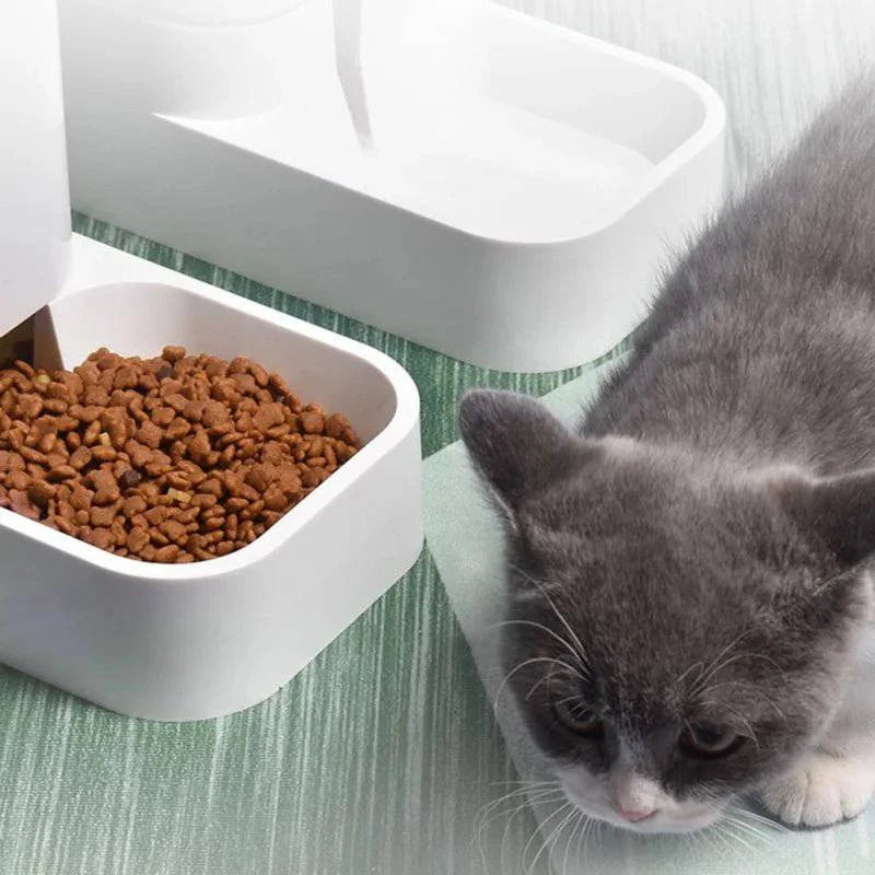 Pet Automatic Feeder Water Dispenser Set - Joomcy