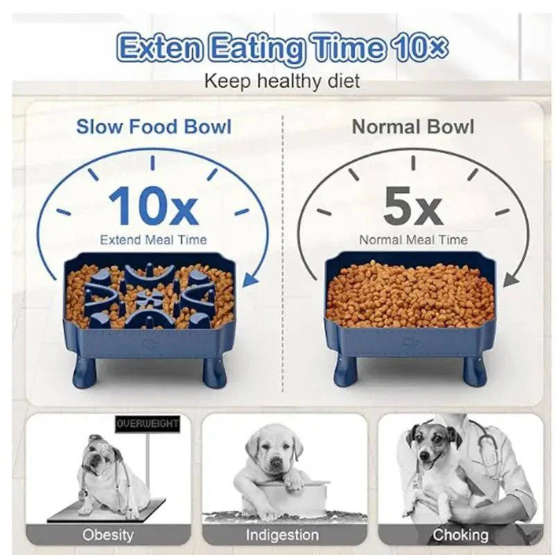 Pet Healthy Eating Slow Food Bowl - Joomcy