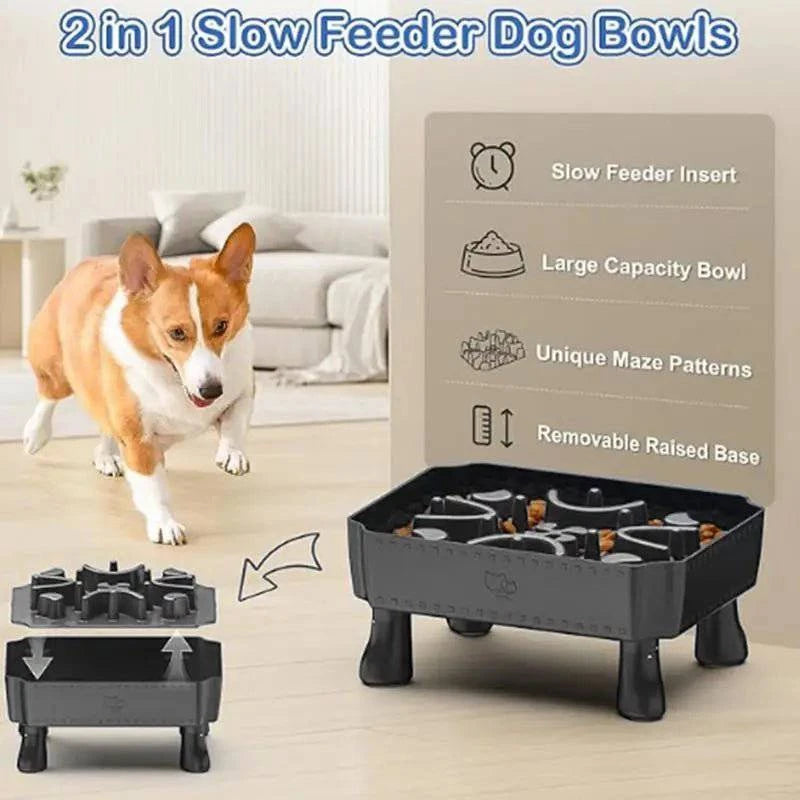 Pet Healthy Eating Slow Food Bowl - Joomcy