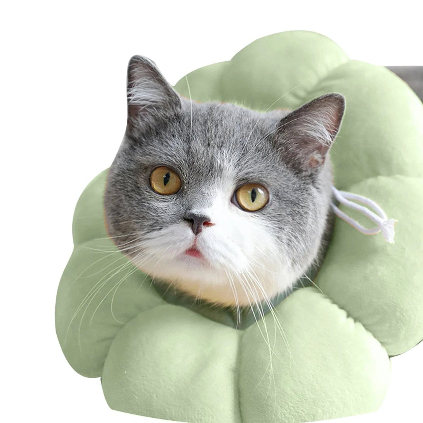 Pet Soft Lightweight Collar Pillow - Joomcy