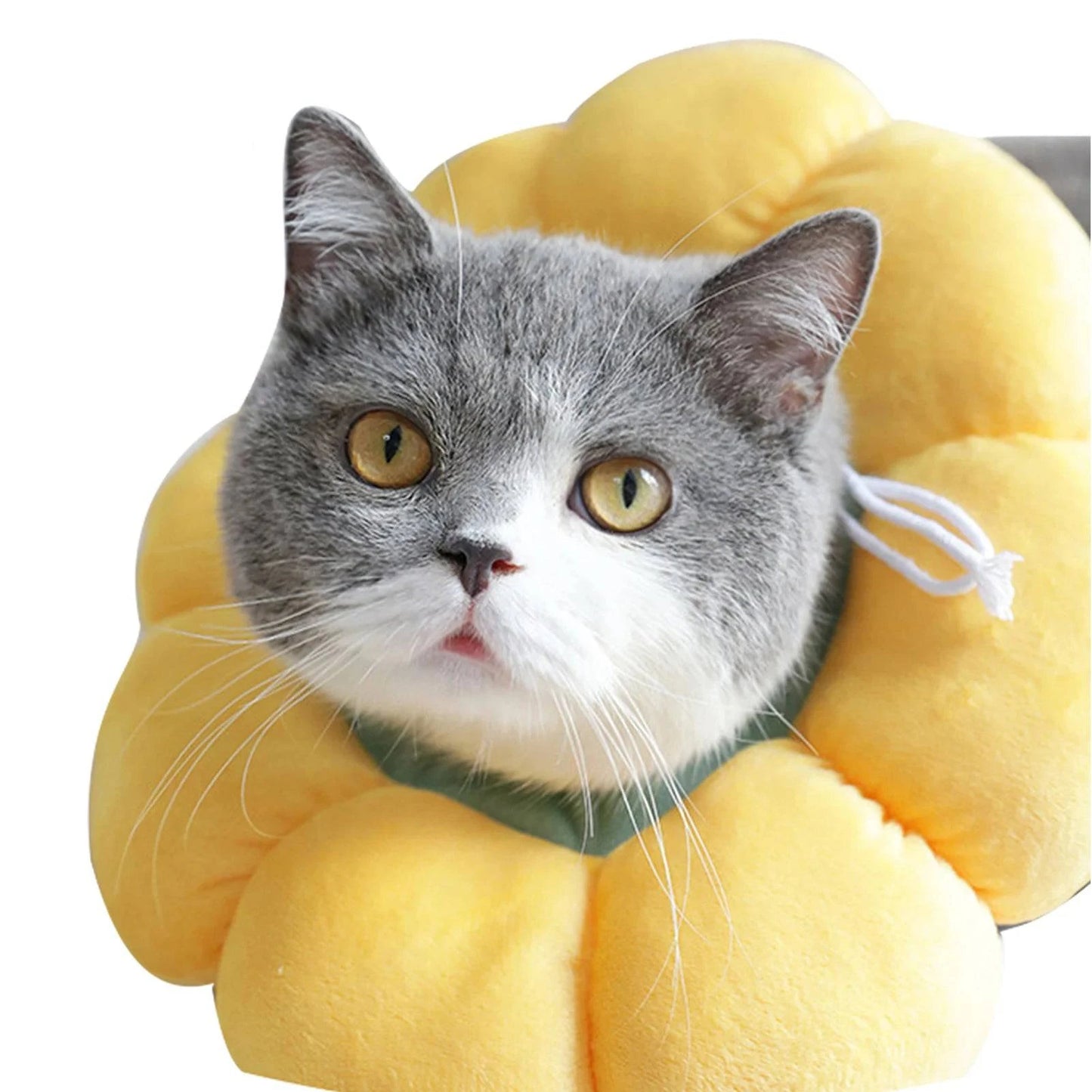 Pet Soft Lightweight Collar Pillow - Joomcy