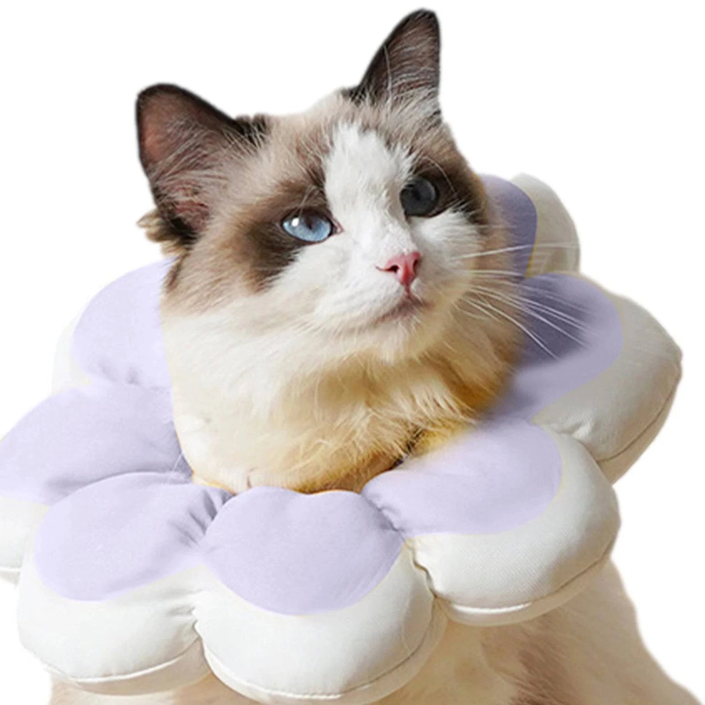 Pet Soft Lightweight Collar Pillow - Joomcy