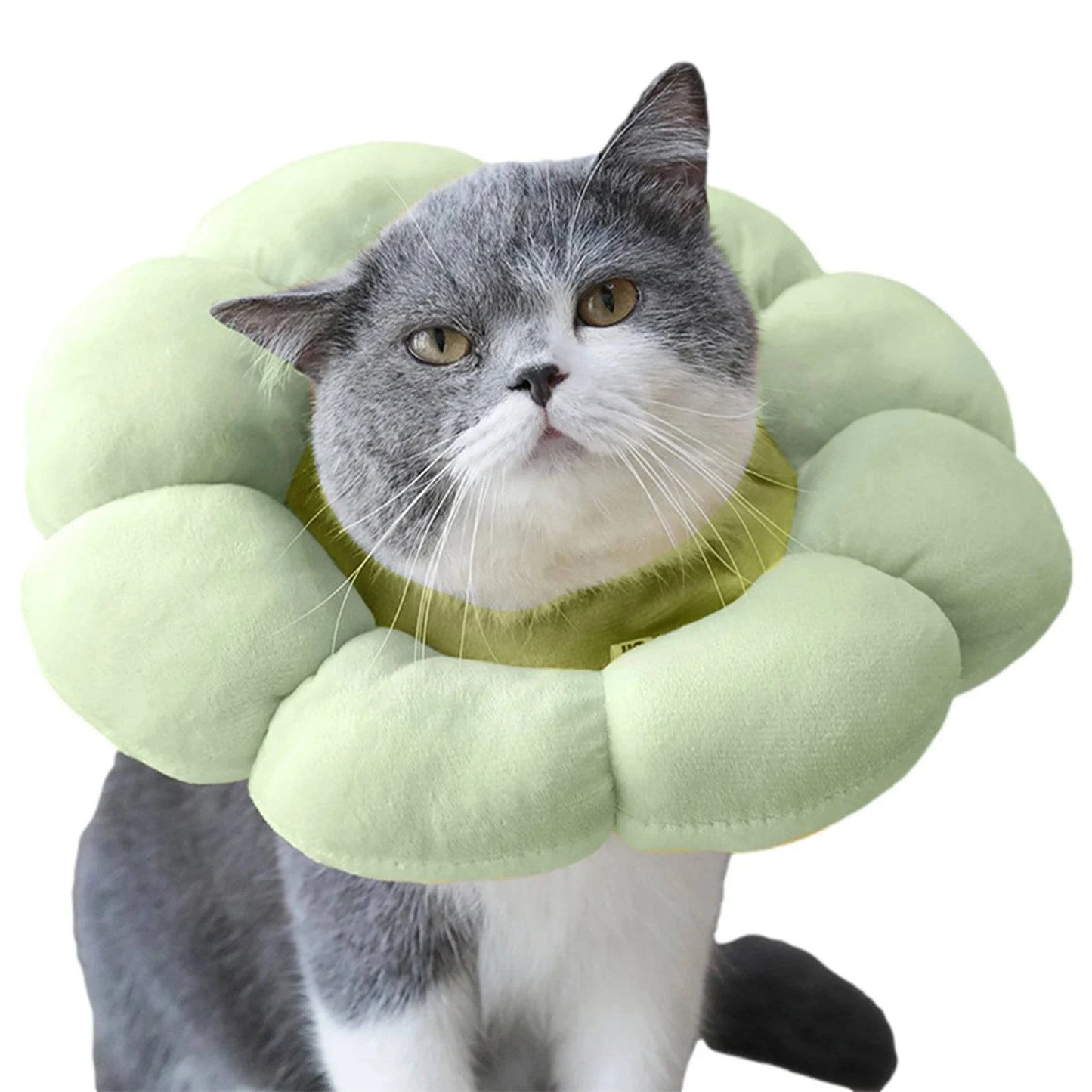 Pet Soft Lightweight Collar Pillow - Joomcy