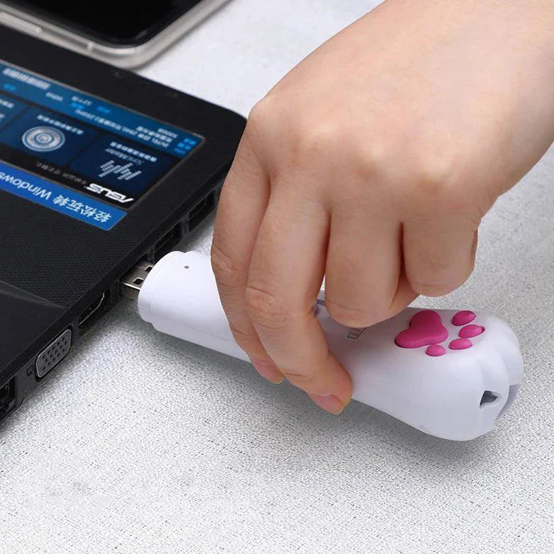 Pet USB LED Laser Rechargeable Toy - Joomcy