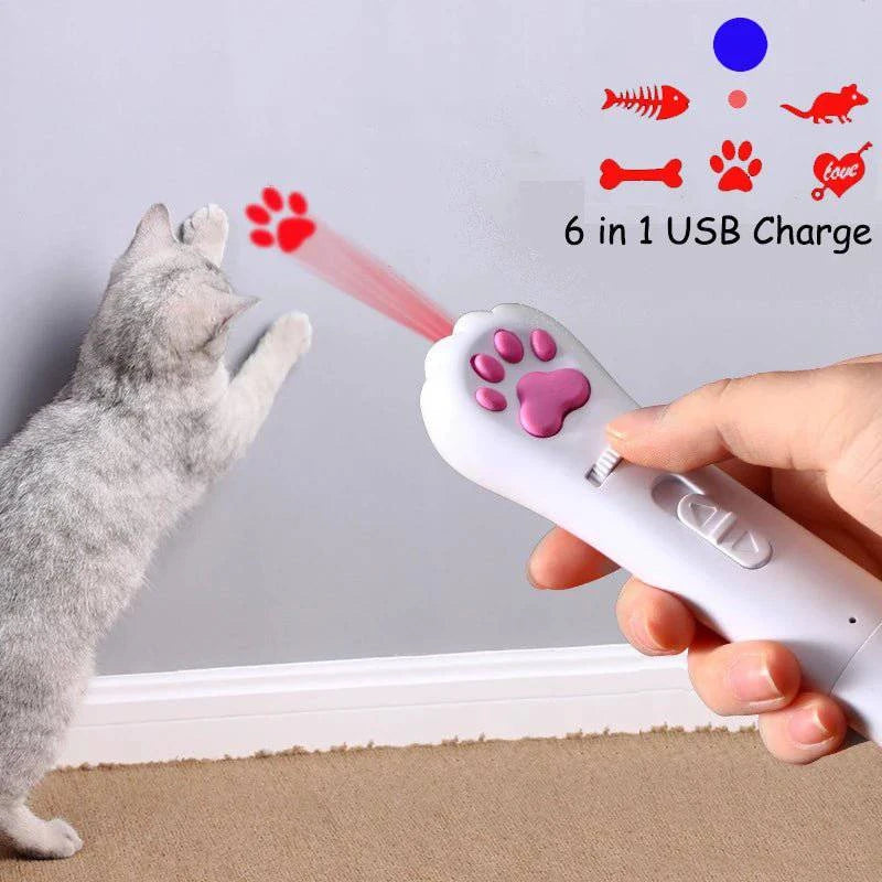 Pet USB LED Laser Rechargeable Toy - Joomcy