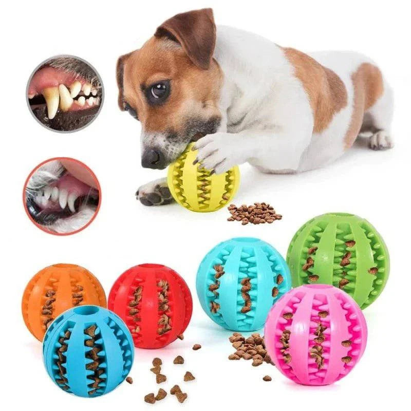PlayTime™ Natural Rubber Pet Chewing Ball - Joomcy