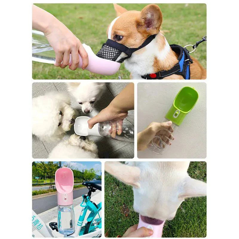 QuickFeed™ Portable Water Bottle + Feeder Bowl - Joomcy