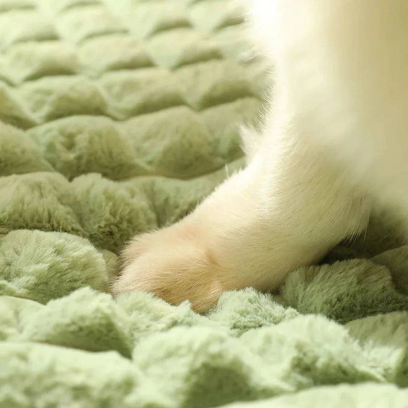 SleepyHead™ Pet Bed With Pillow for Dogs - Joomcy