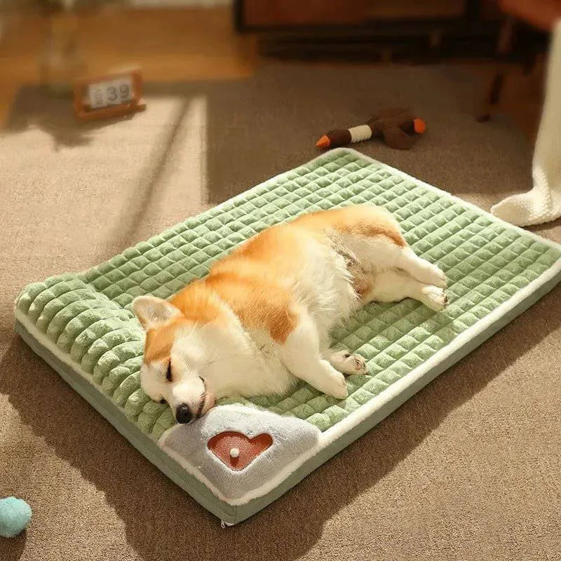 SleepyHead™ Pet Bed With Pillow for Dogs - Joomcy
