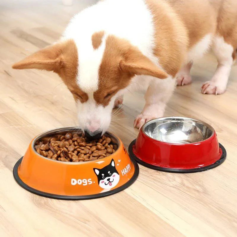 Stainless Steel Drinking Dish Feeder - Joomcy