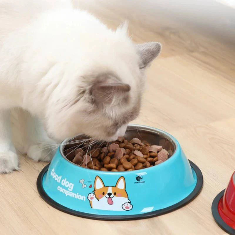 Stainless Steel Drinking Dish Feeder - Joomcy
