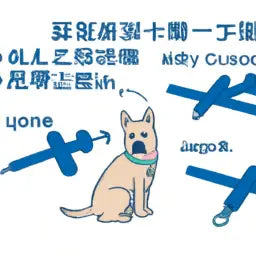 1. **Q: Can my dog use the launcher alone?**
