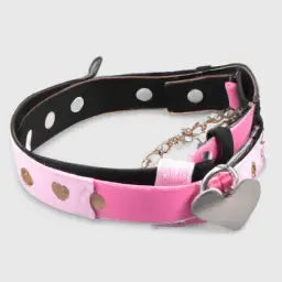 Discover Why Joomcy’s Pet Collars Are a Must-Have!