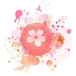 Explore Joomcy’s Best Collections for Every Need