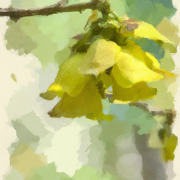 2. **Functionality:** Look for features like remote control or automatic throwing.