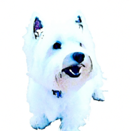 2. **Affordable Options**: Our selection includes **cheap automatic dog ball throwers** to fit any budget without compromising quality.