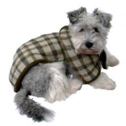 Elevate Your Pet's Style with Joomcy's Chic Accessories