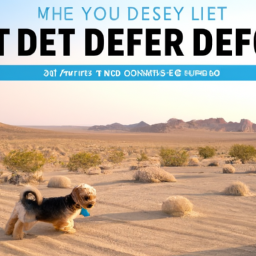 Explore the Desert with Your Pets: Discover the Benefits of a 6-Person Tent!