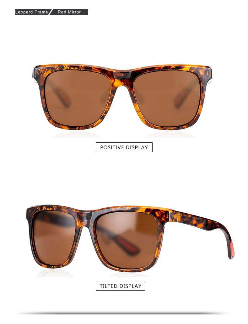 Sunglasses 6