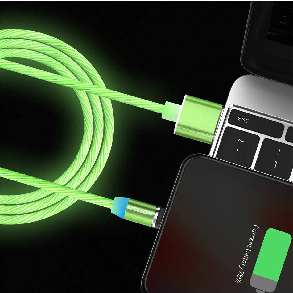 Streamer Magnetic Data Cable