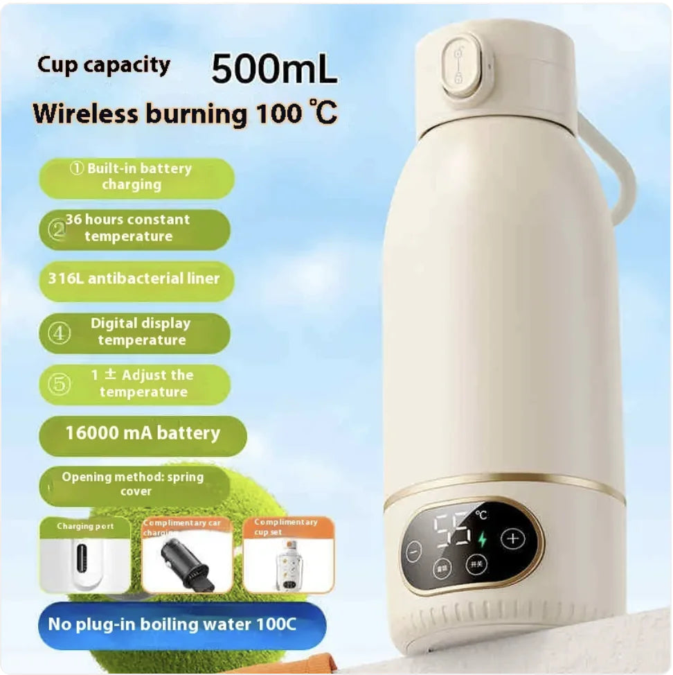 Portable Electric Kettle