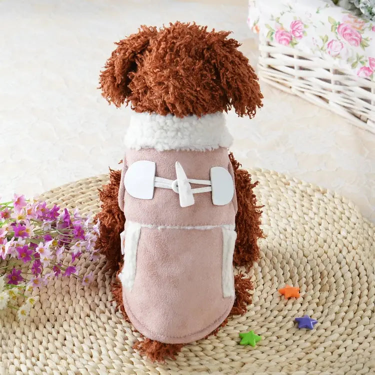 Teddy Dog Costume for Pets