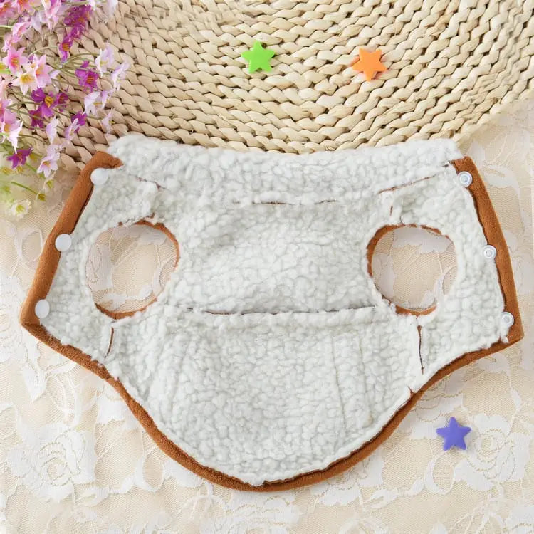 Teddy Dog Costume for Pets