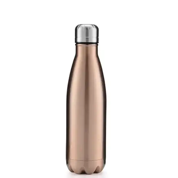 17oz Stainless Steel Water Bottle