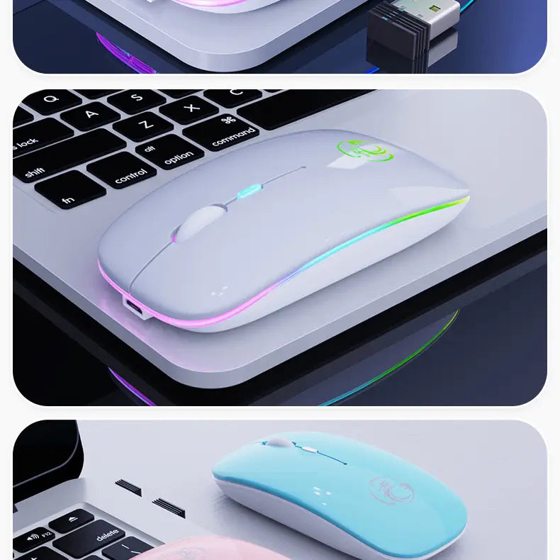 Wireless Silent Mouse 12