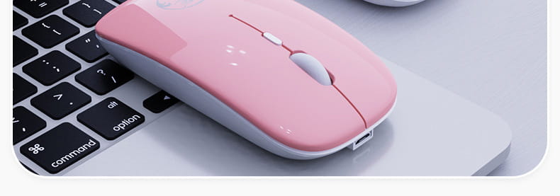 Wireless Silent Mouse 13